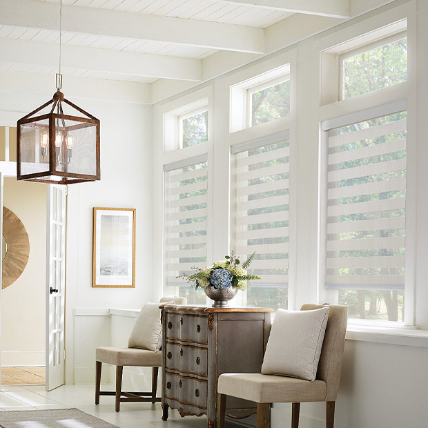 Transitional shades in a Chicago living room